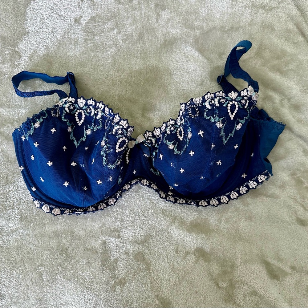 Fauve Navy Embroidered Lace Bra